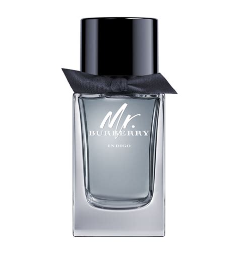 mr burberry toilette 100ml indigo|mr burberry indigo.